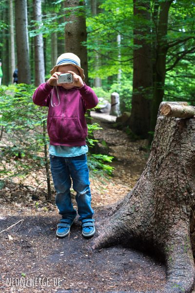 Fotokind - Mit Kindern im Wald - Pilze sammeln