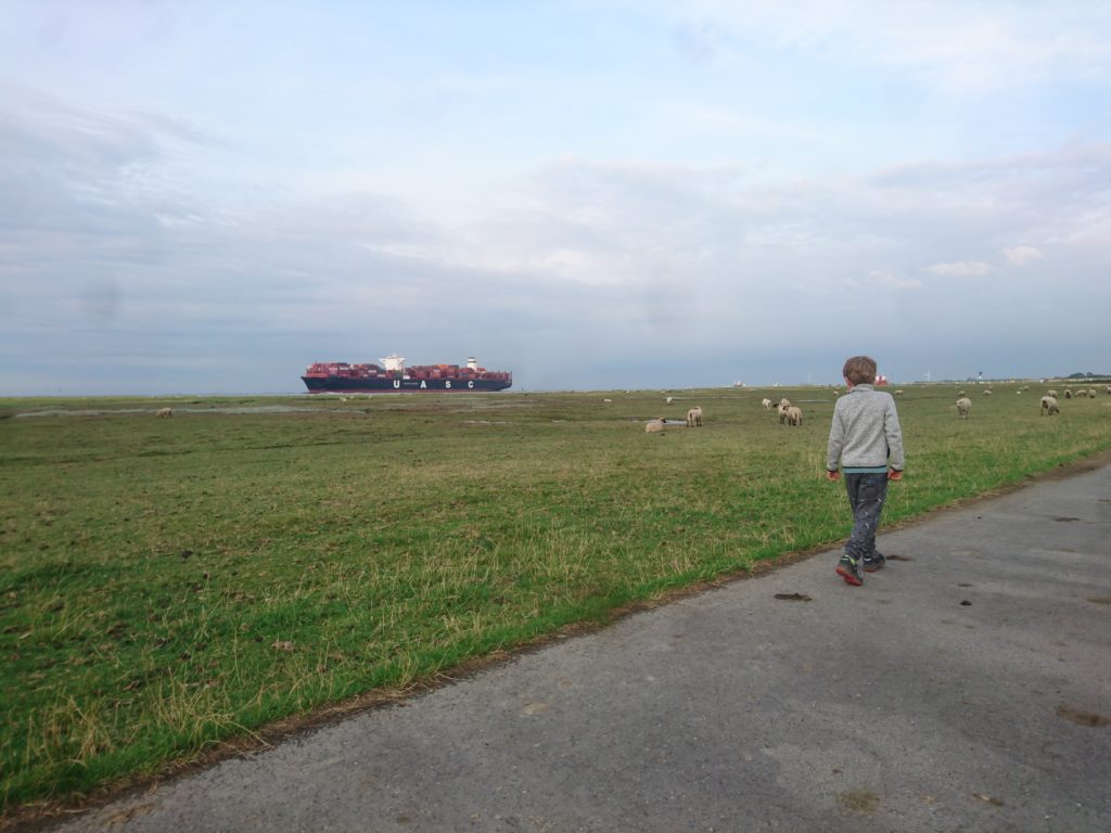 Dachzelt Nordsee Reisen Kindern